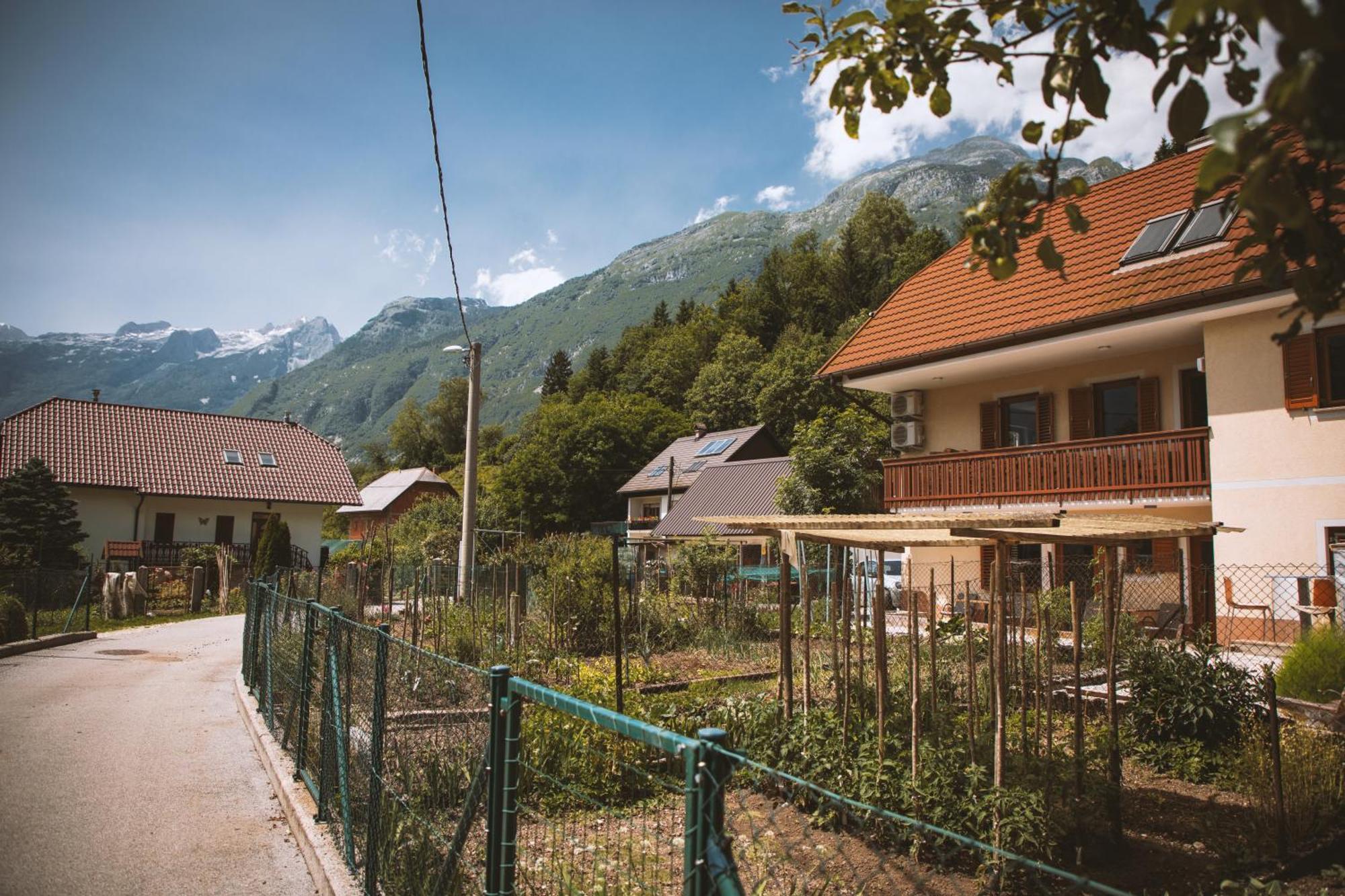 בובק 4 Sheeps Apartments מראה חיצוני תמונה